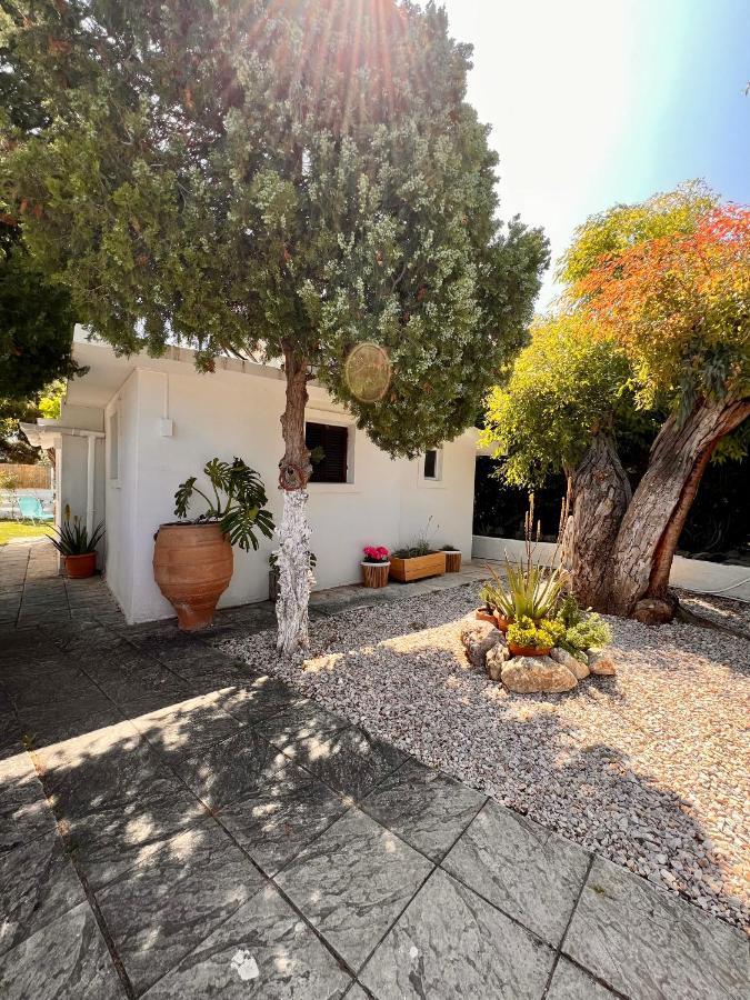Under The Vine Garden House Διαμέρισμα Πλατάνι Εξωτερικό φωτογραφία